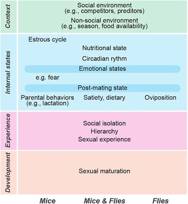 Frontiers Flexibility of neural circuits regulating mating